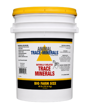 40 lb Pail